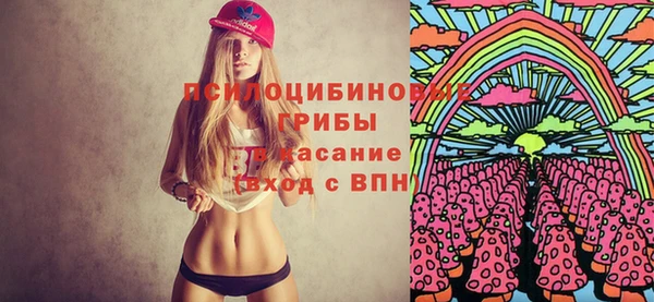 спайс Карпинск