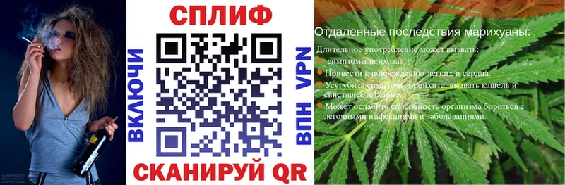 Купить где  Горняк  Шишки марихуана MAZAR 
